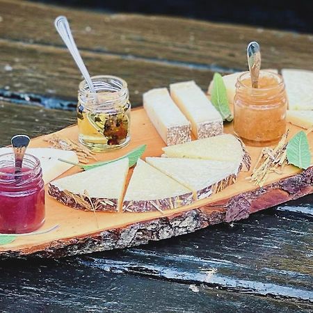 Agriturismo La Conte ルッカ エクステリア 写真